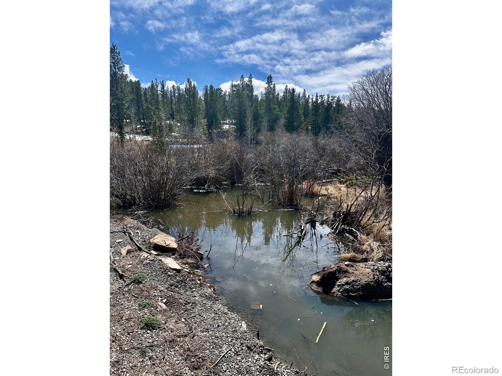 43 Chetco Court Red Feather Lakes CO 80545