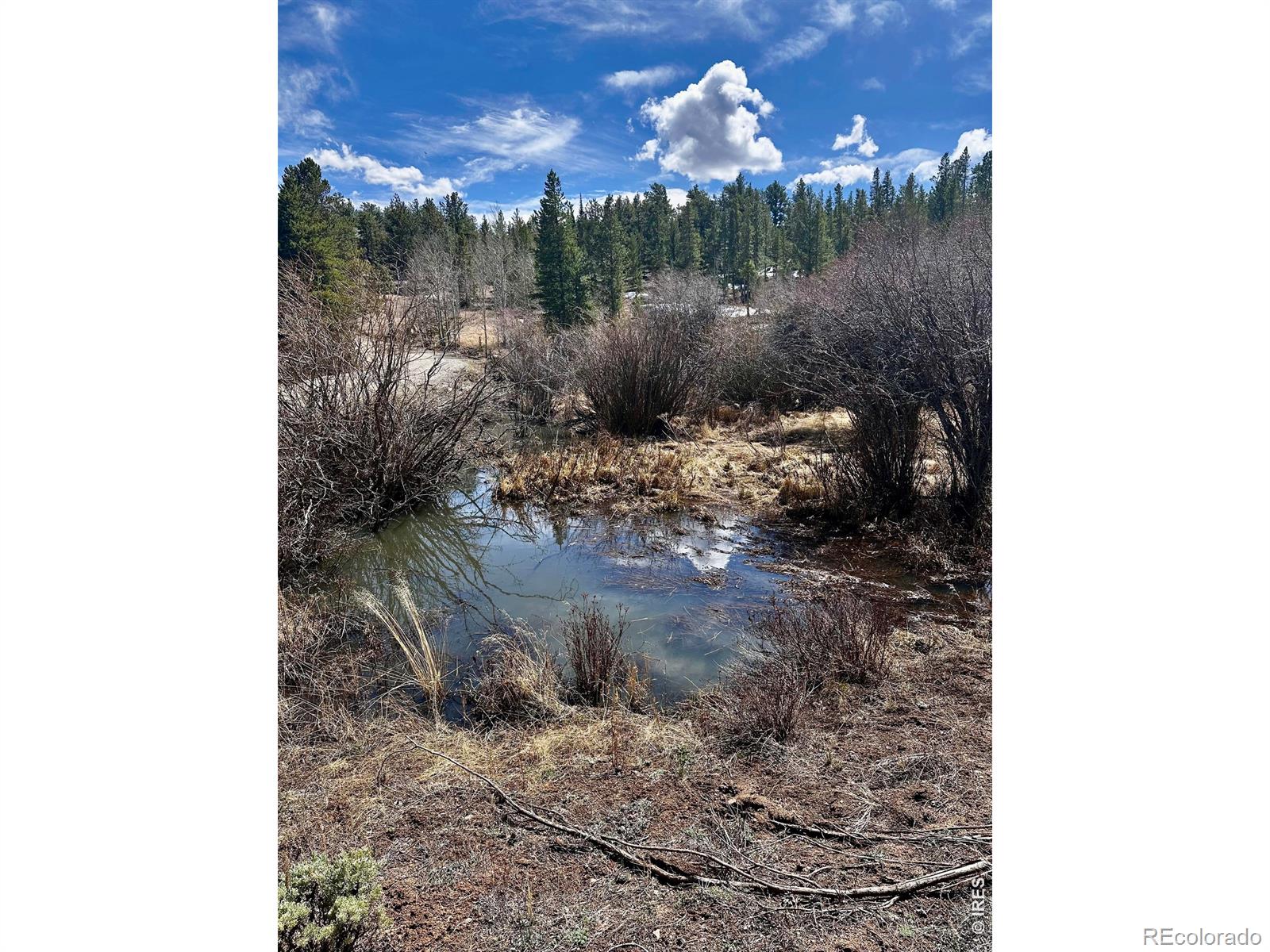 43 Chetco Court Red Feather Lakes CO 80545