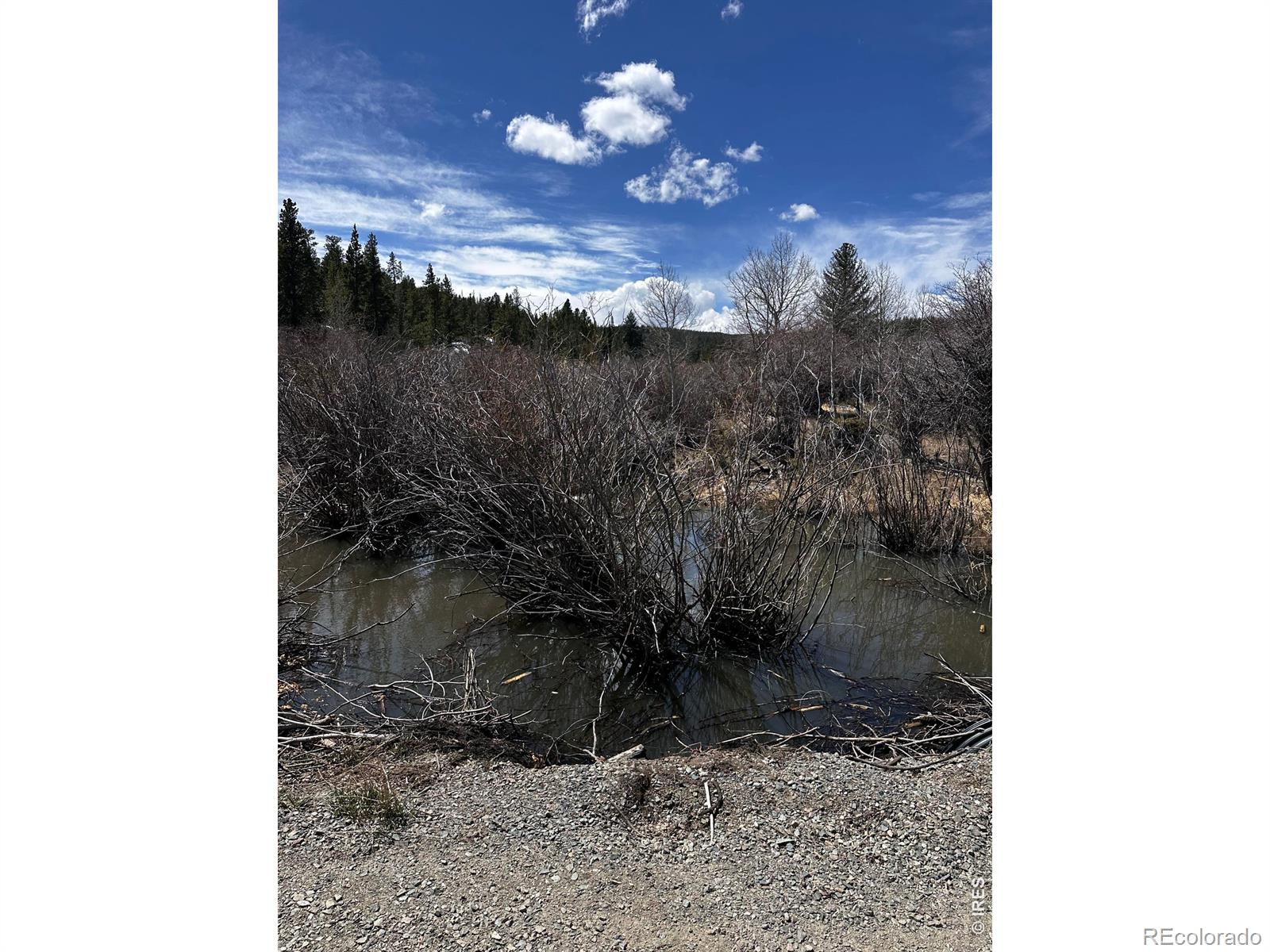 43 Chetco Court Red Feather Lakes CO 80545