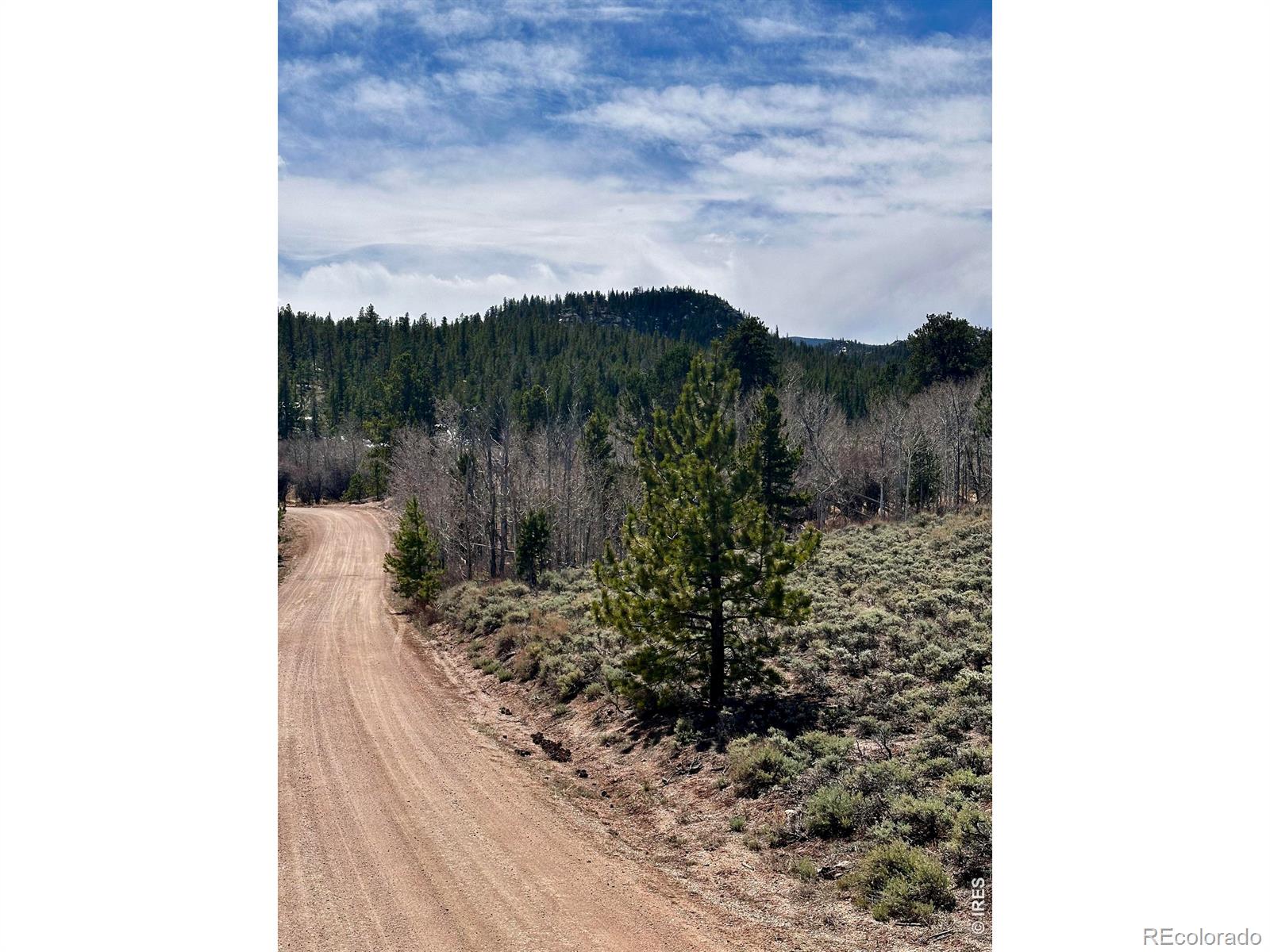 43 Chetco Court Red Feather Lakes CO 80545