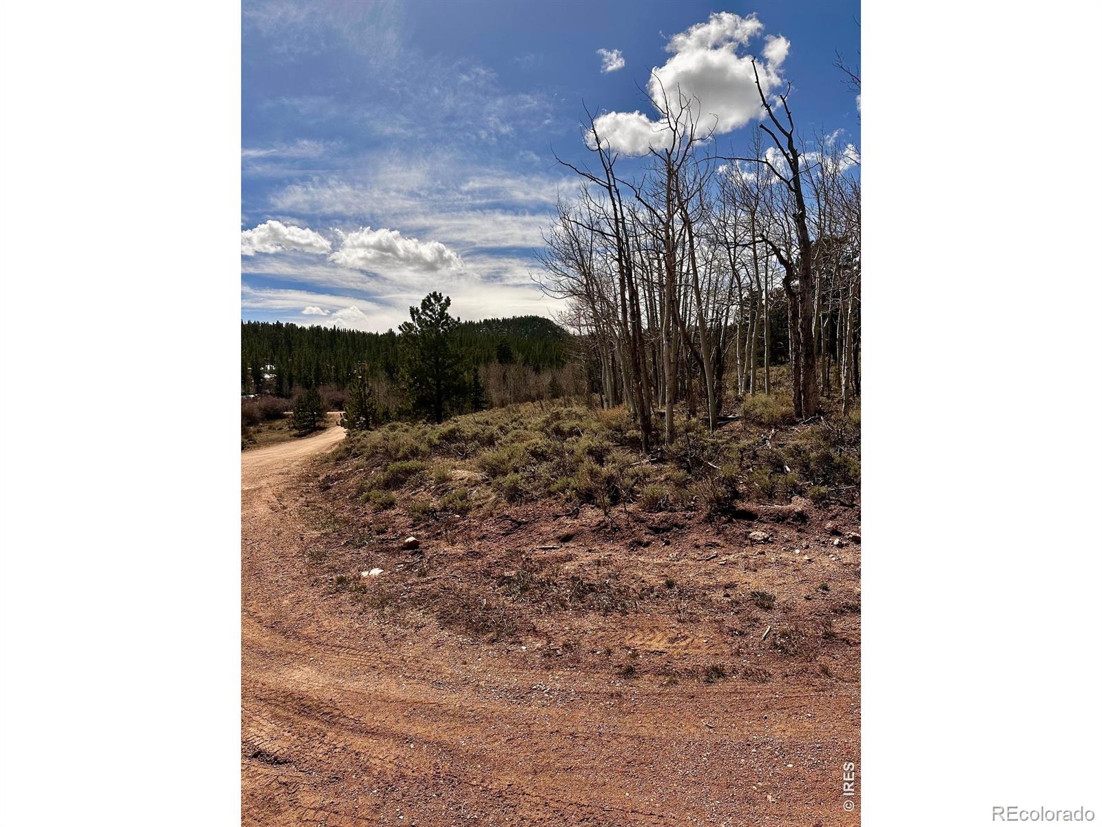 43 Chetco Court Red Feather Lakes CO 80545