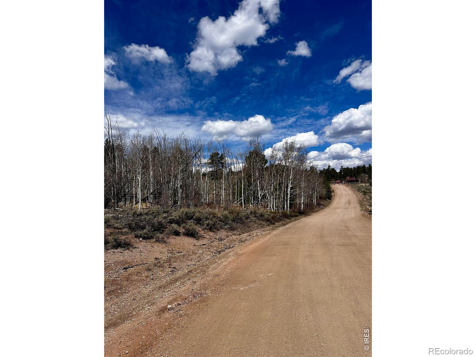 43 Chetco Court Red Feather Lakes CO 80545
