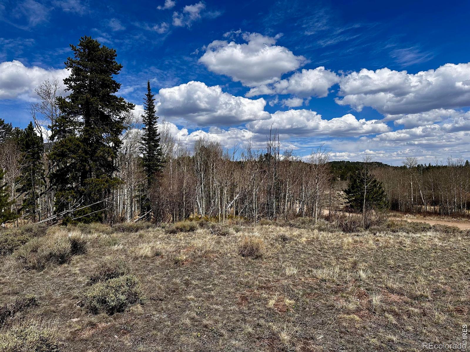43 Chetco Court Red Feather Lakes CO 80545