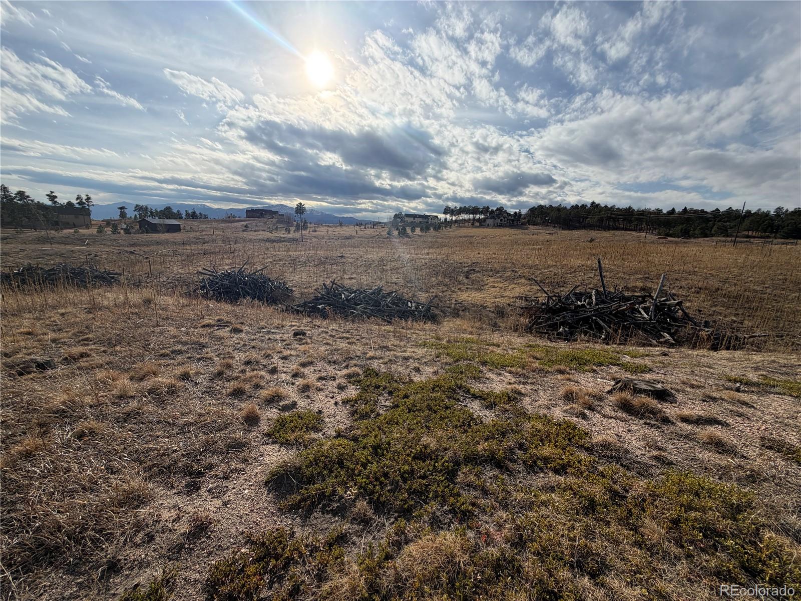 13810 Wildoak Drive Colorado Springs CO 80908