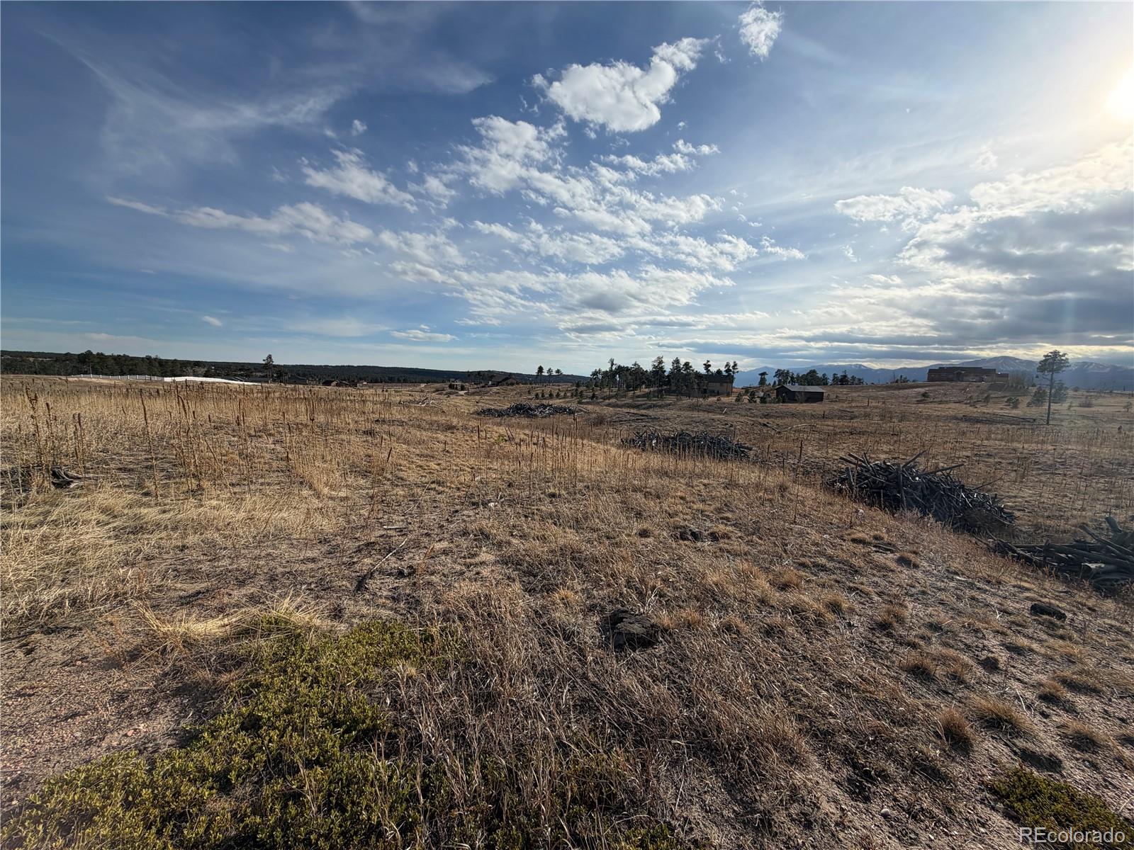 13810 Wildoak Drive Colorado Springs CO 80908