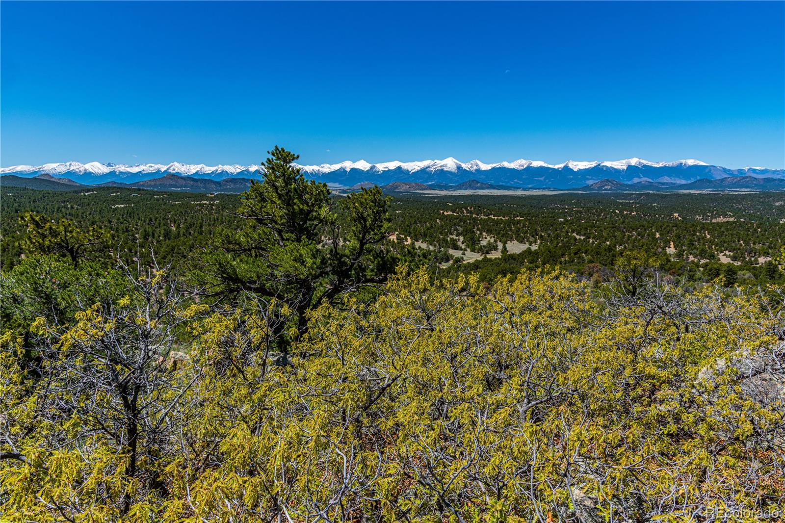 TR-16 White Wing Way Cotopaxi CO 81223