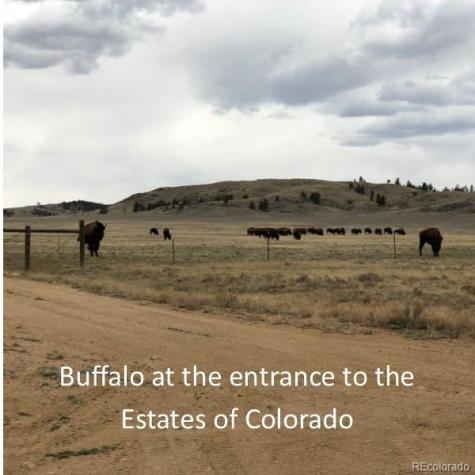 4253 Cahokia Road Hartsel CO 80449