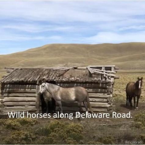 4253 Cahokia Road Hartsel CO 80449