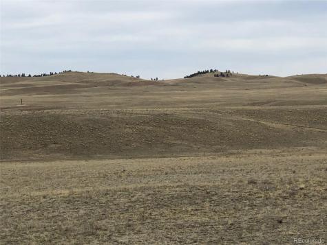 4253 Cahokia Road Hartsel CO 80449