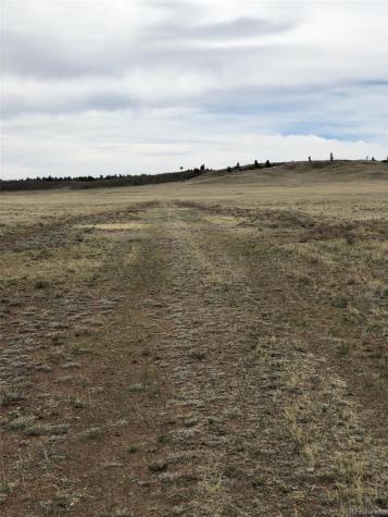 4253 Cahokia Road Hartsel CO 80449