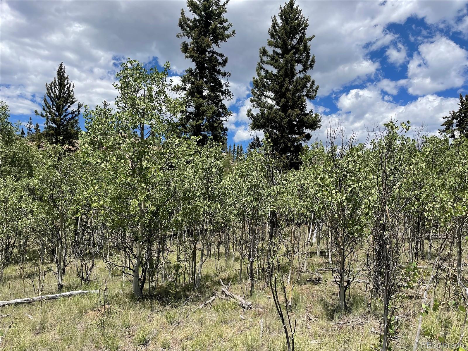 771 Teton Trail Como CO 80432