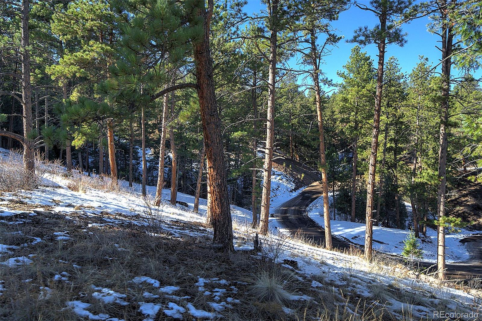 6 Turret Peak Trail Pine CO 80470