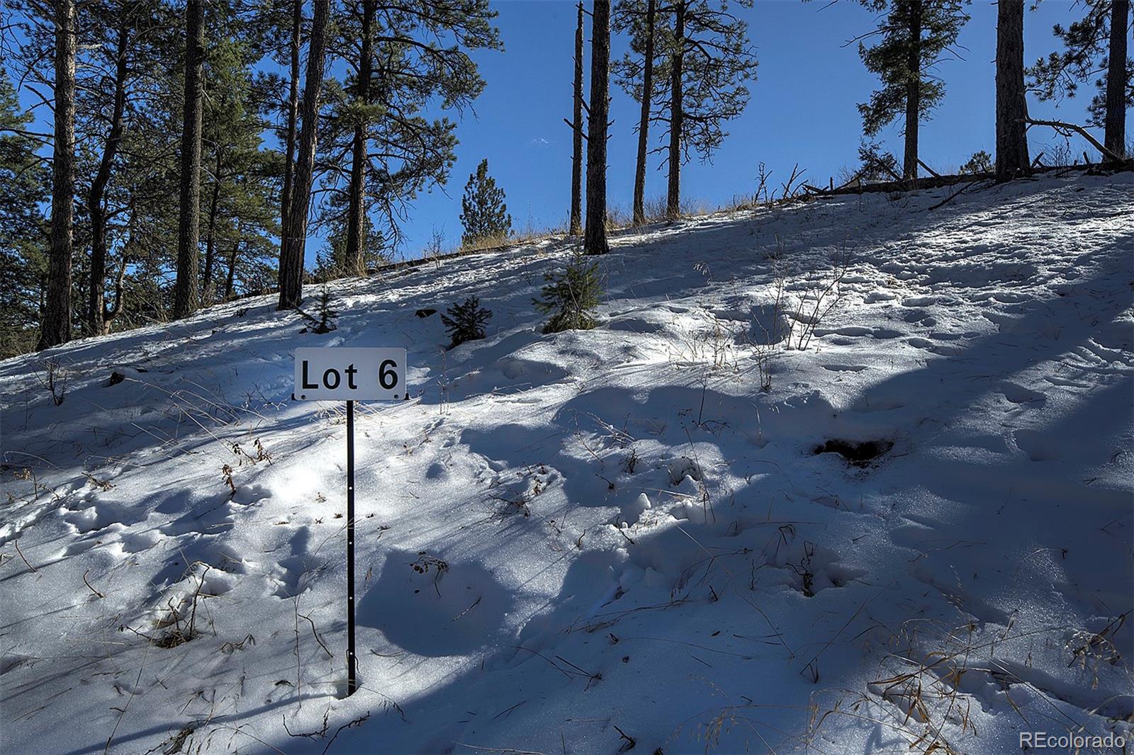 6 Turret Peak Trail Pine CO 80470