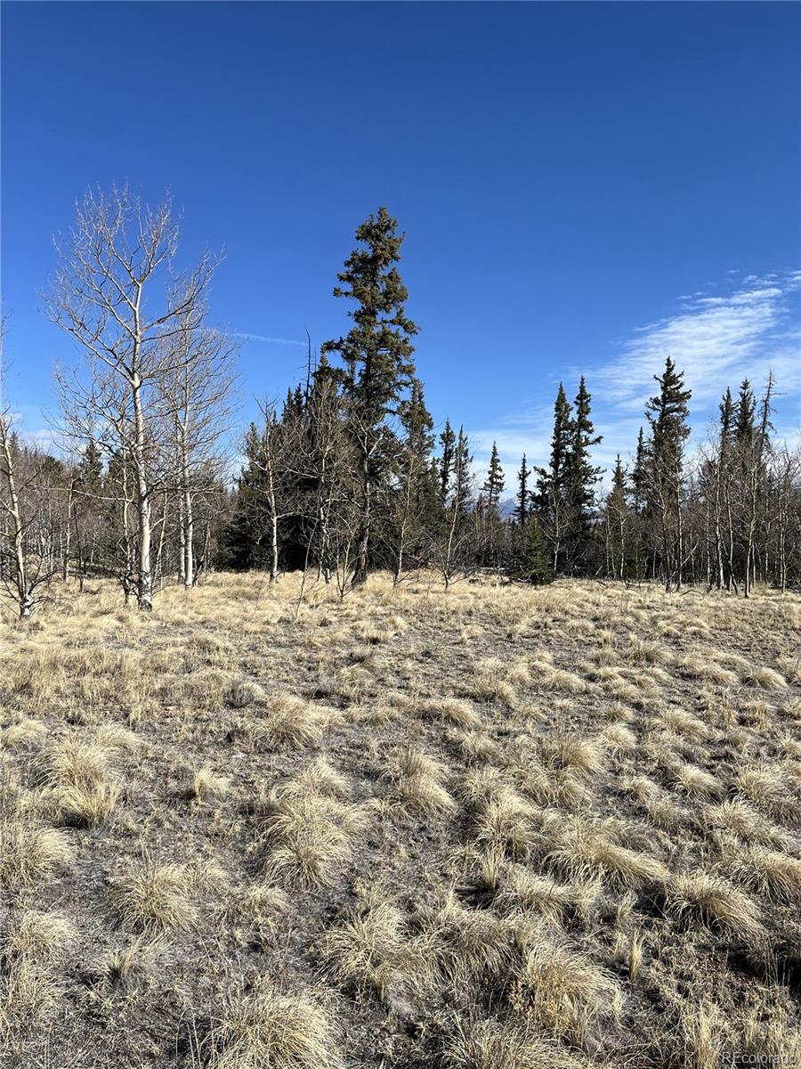 27 Warpath Road Como CO 80432