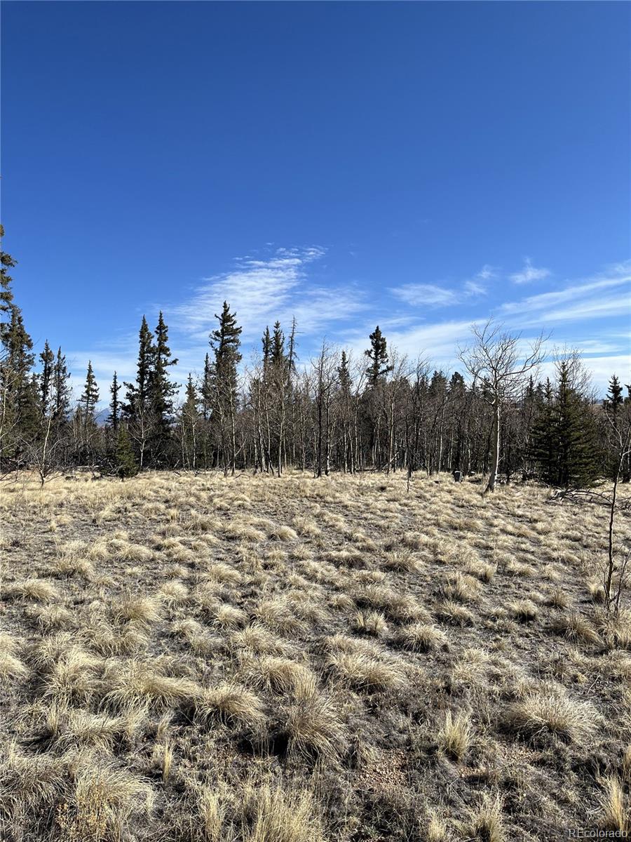 27 Warpath Road Como CO 80432