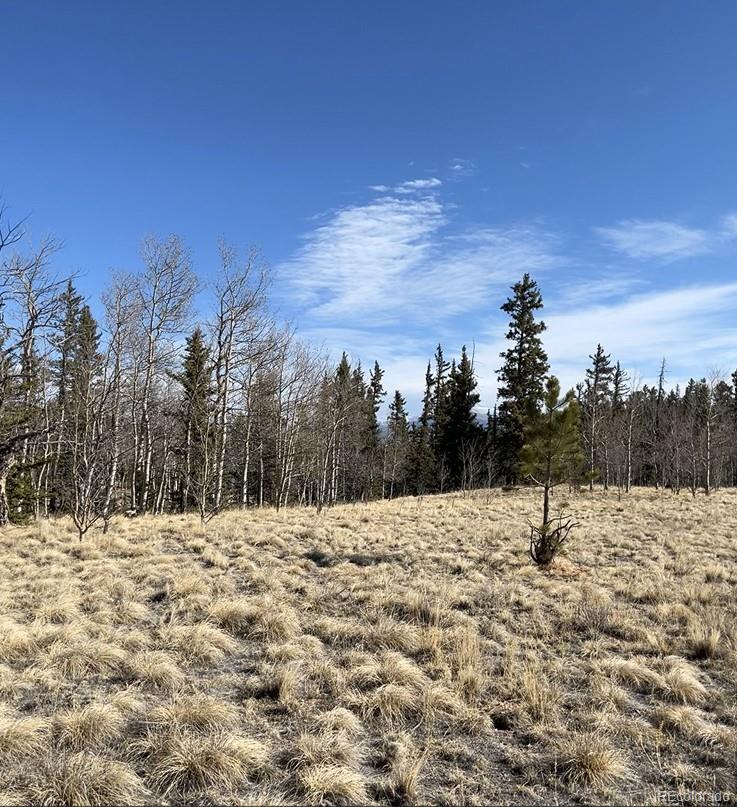 27 Warpath Road Como CO 80432
