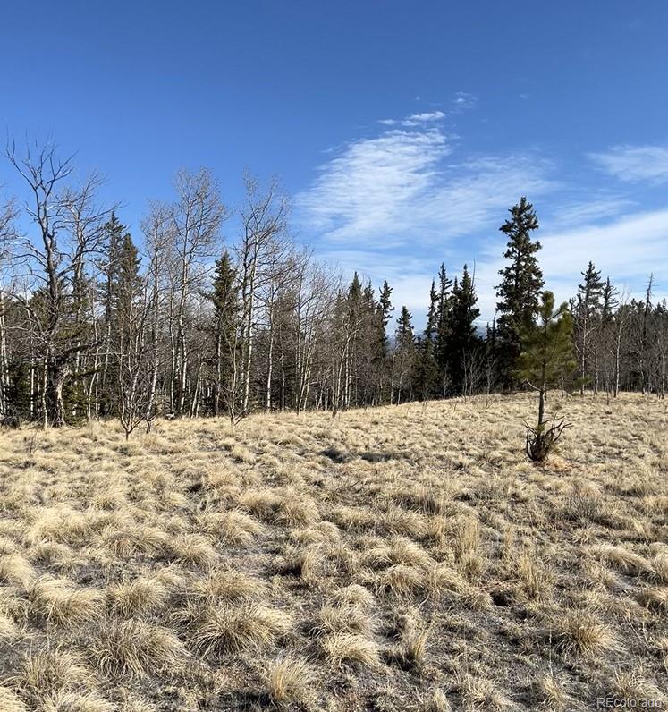27 Warpath Road Como CO 80432