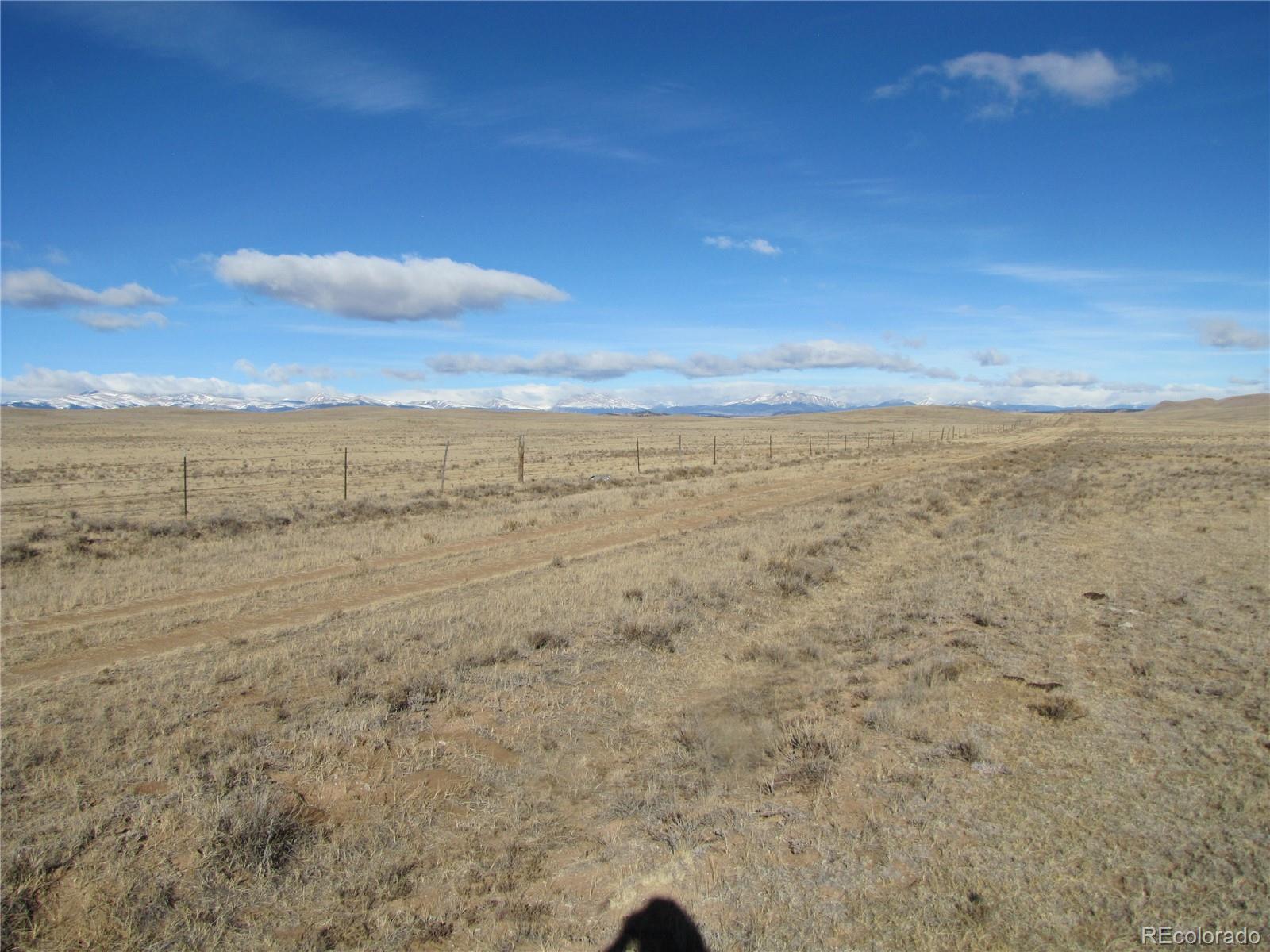 Lot 11 Wasatch Road Hartsel CO 80449