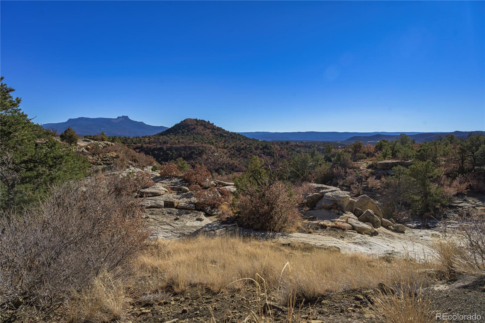 14633 Rancho Verde Road Trinidad CO 81082