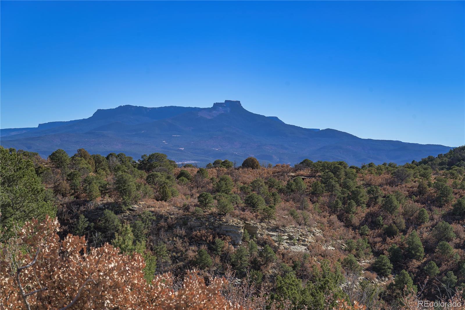 14633 Rancho Verde Road Trinidad CO 81082