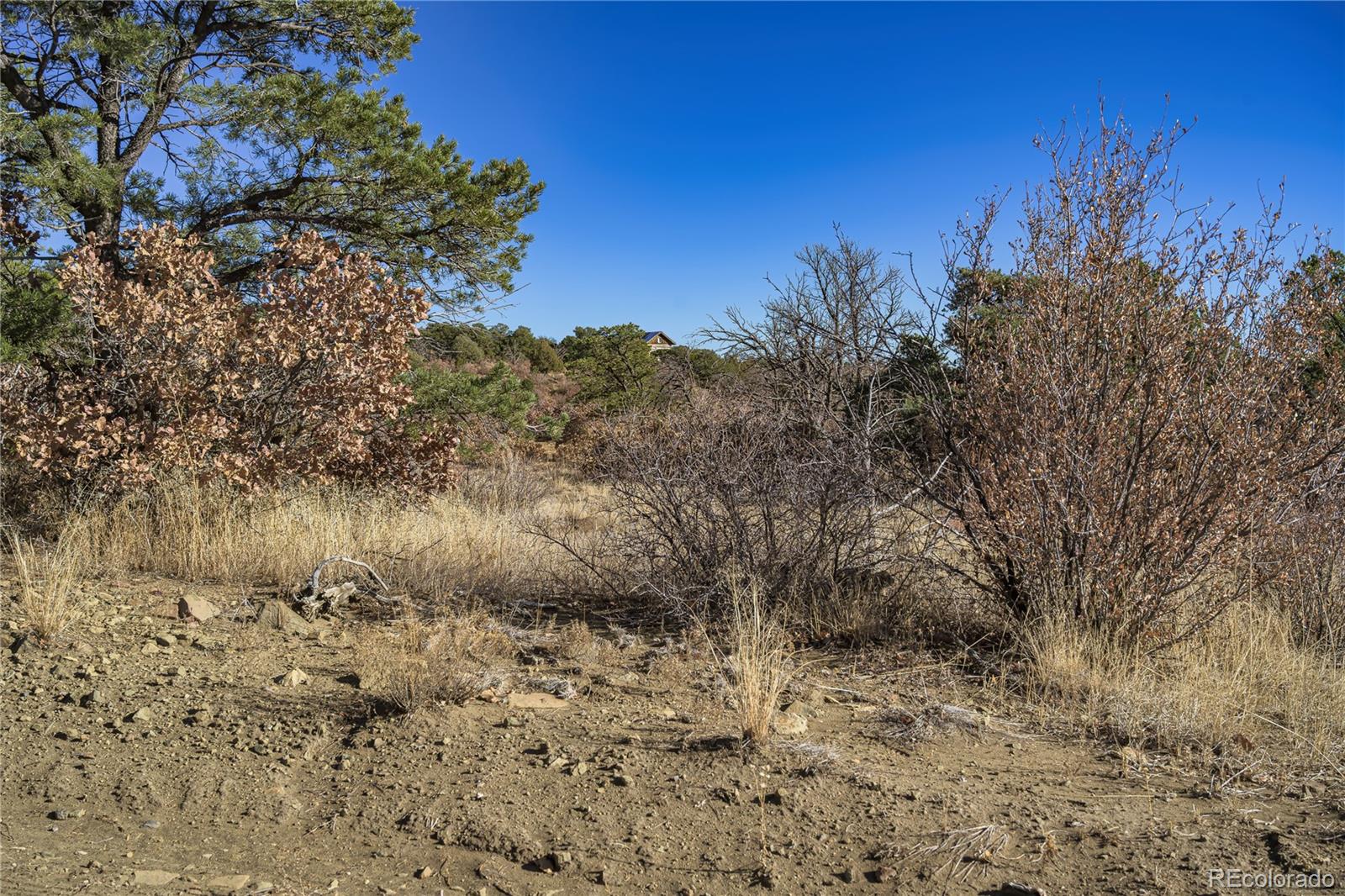 14633 Rancho Verde Road Trinidad CO 81082