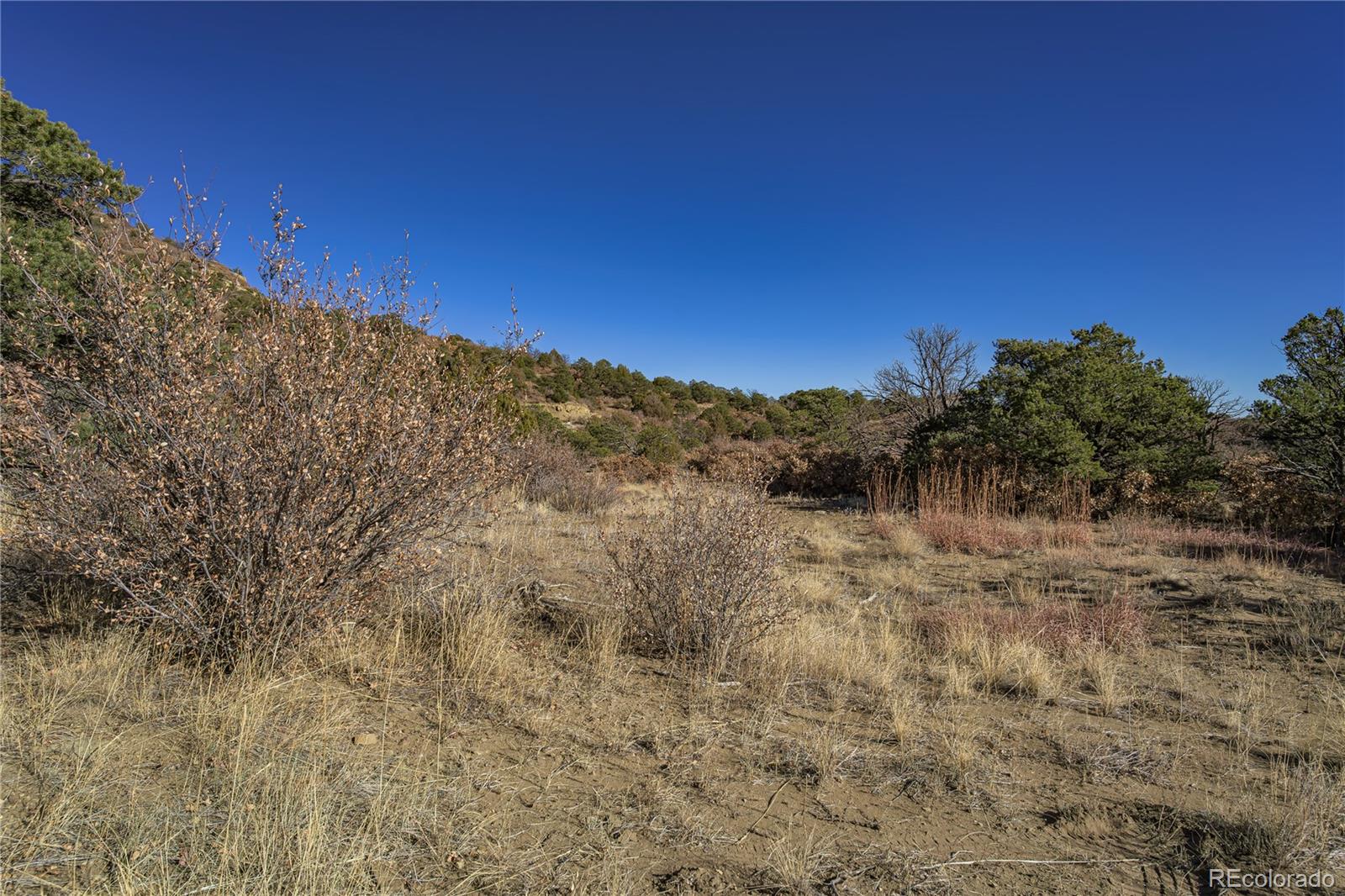 14633 Rancho Verde Road Trinidad CO 81082