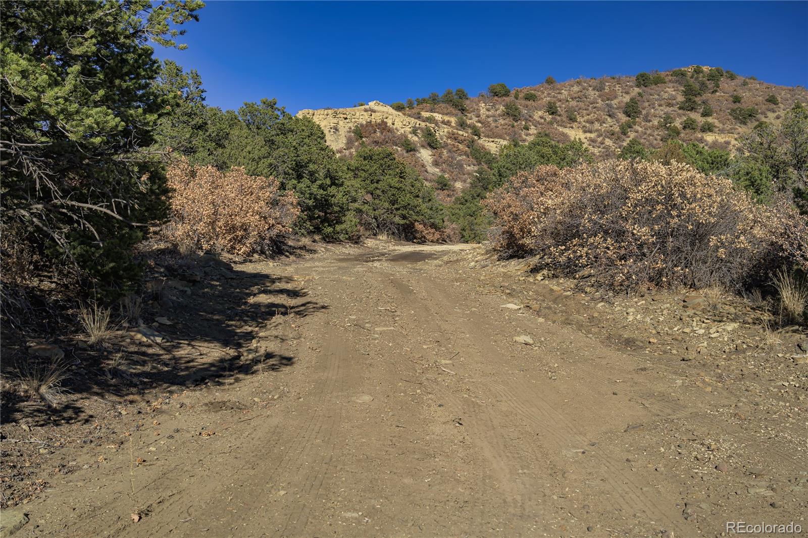 14633 Rancho Verde Road Trinidad CO 81082
