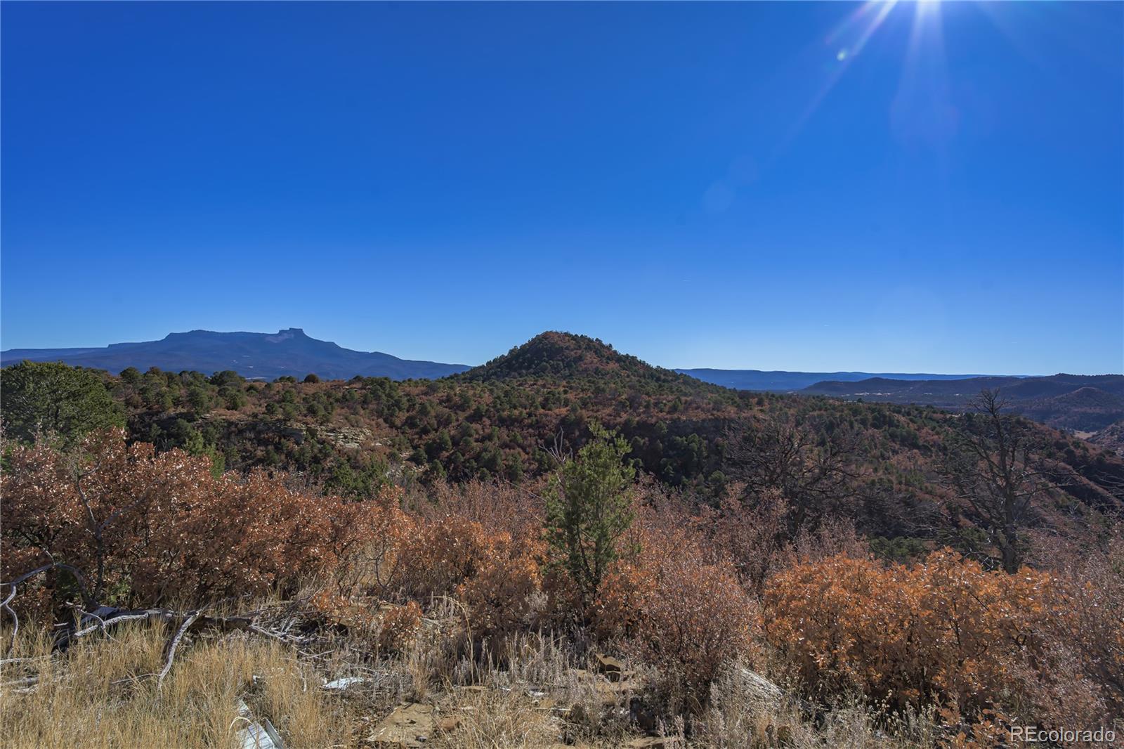 14633 Rancho Verde Road Trinidad CO 81082