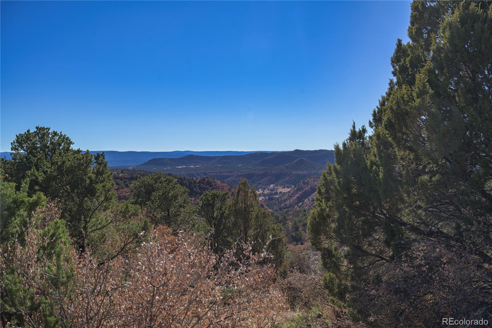 14633 Rancho Verde Road Trinidad CO 81082