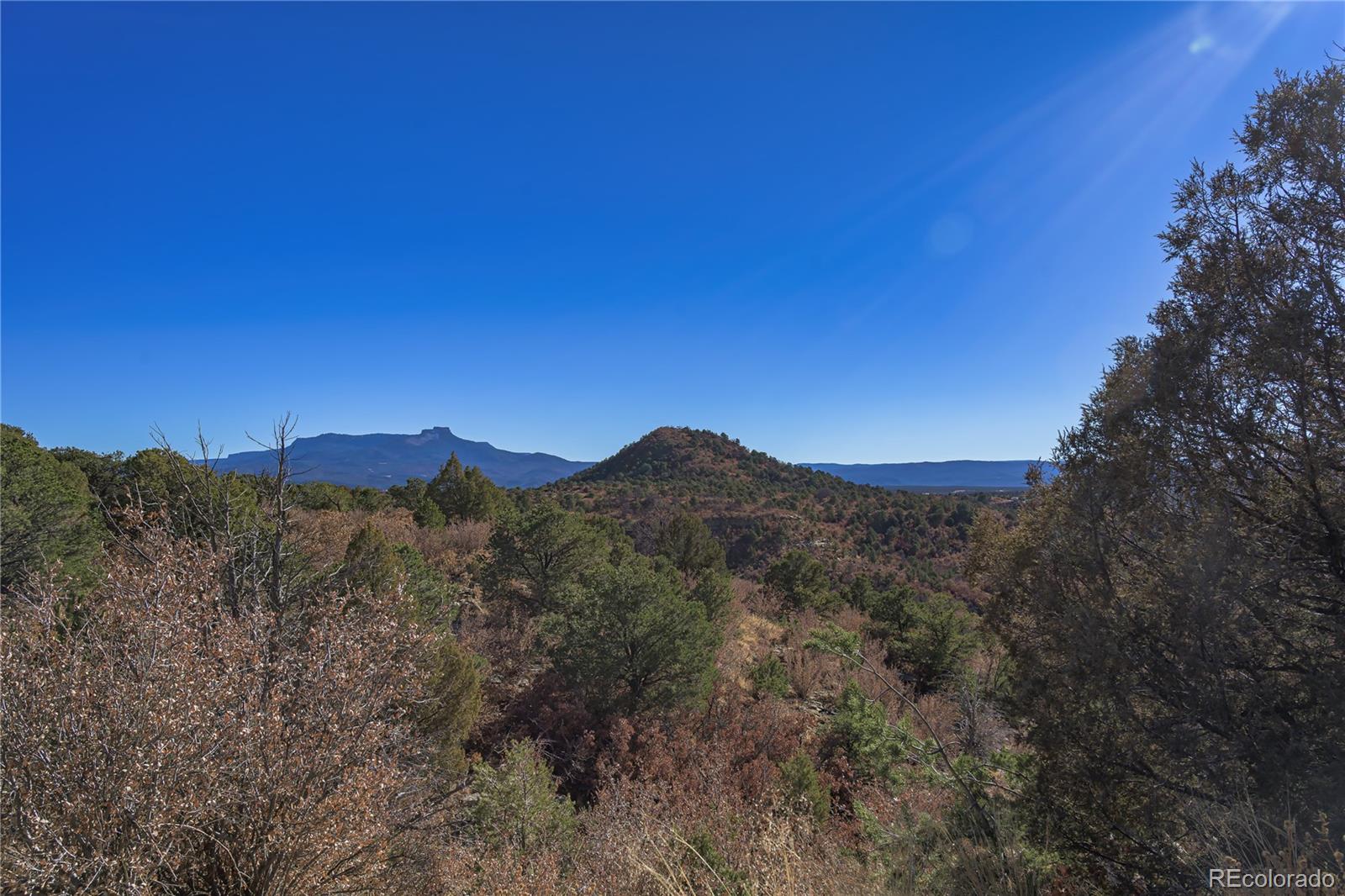14633 Rancho Verde Road Trinidad CO 81082