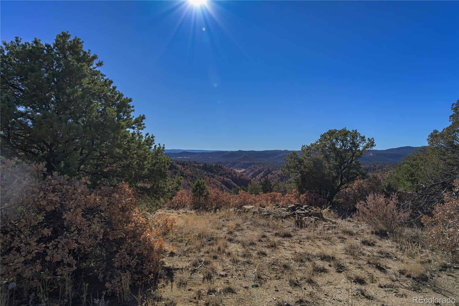 14633 Rancho Verde Road Trinidad CO 81082