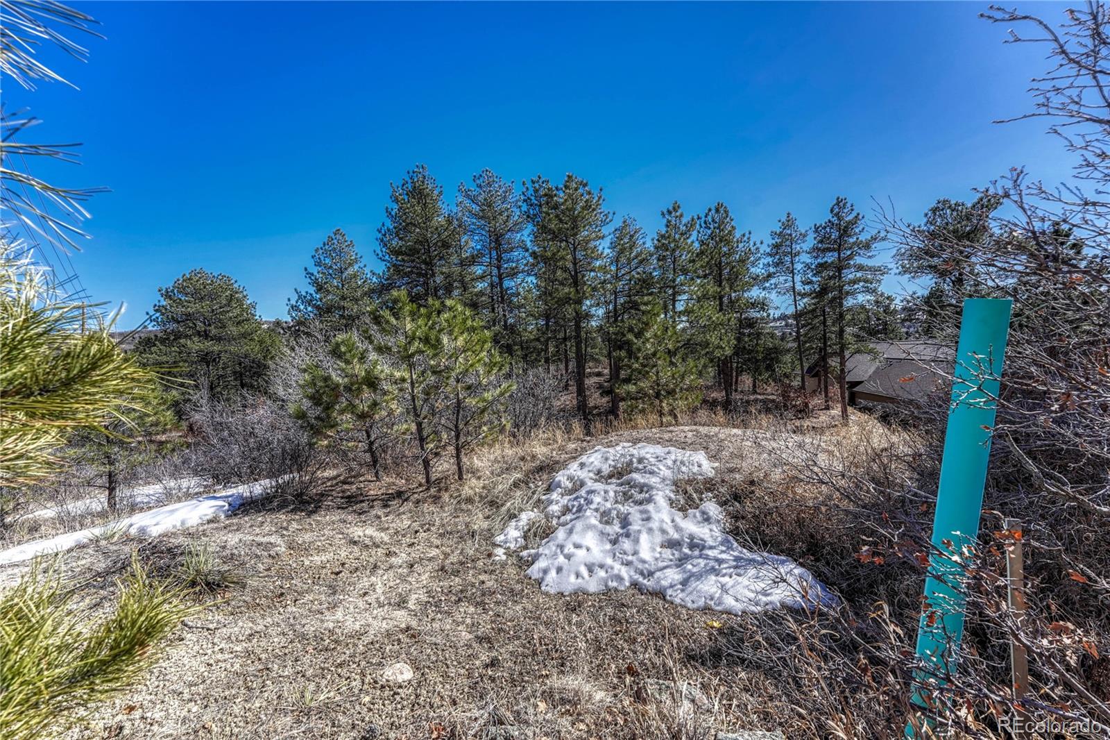 2111 Ramblewood Court Castle Rock CO 80104