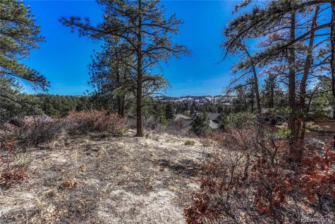 2111 Ramblewood Court Castle Rock CO 80104