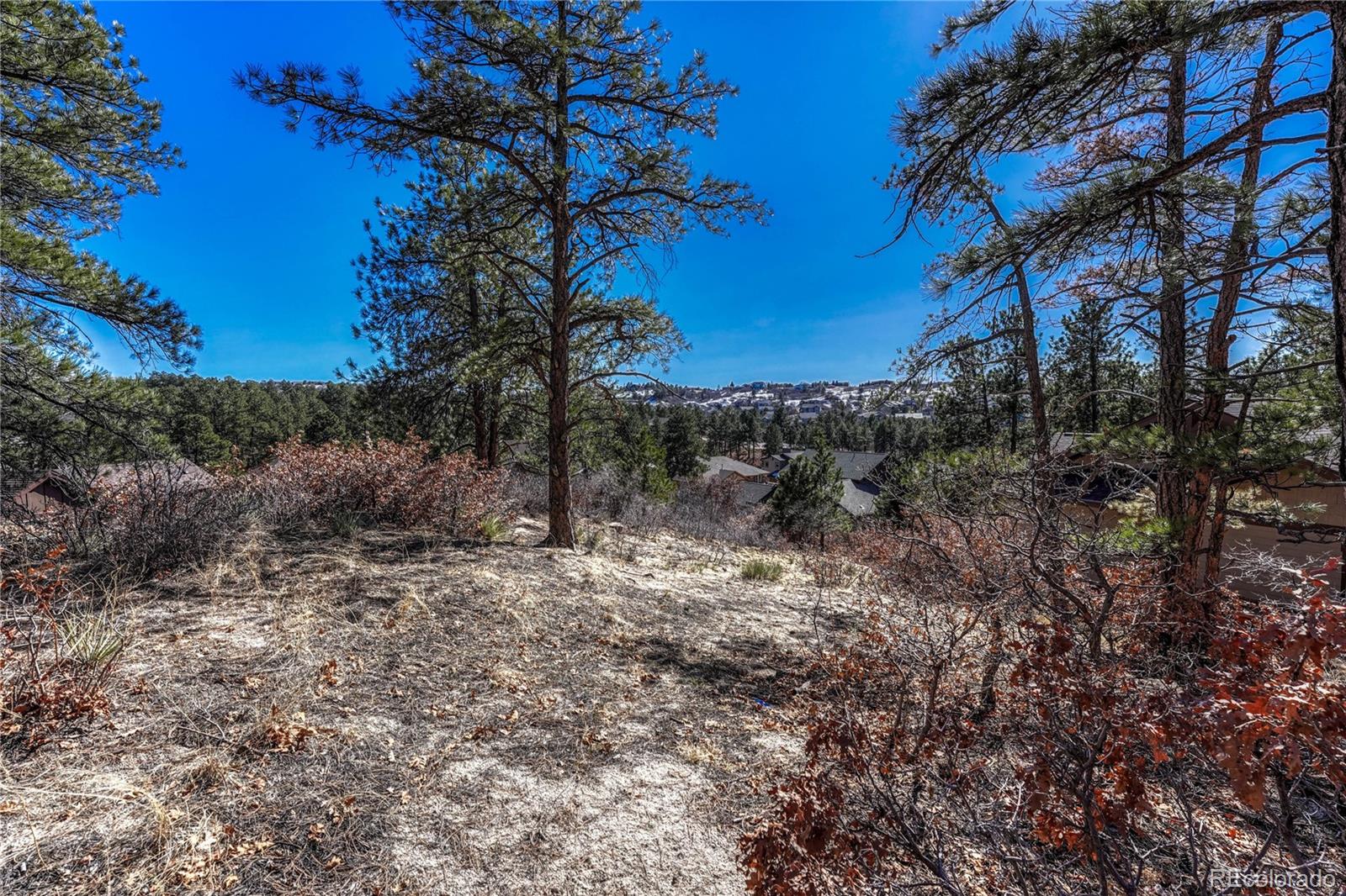2111 Ramblewood Court Castle Rock CO 80104