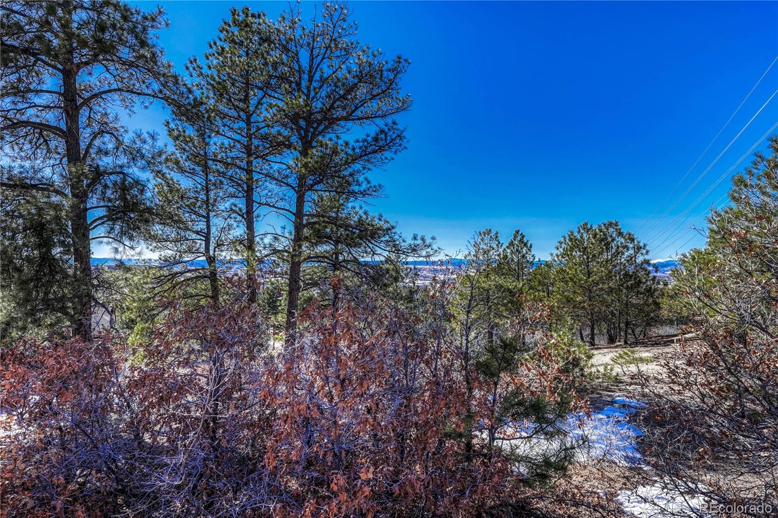 2111 Ramblewood Court Castle Rock CO 80104