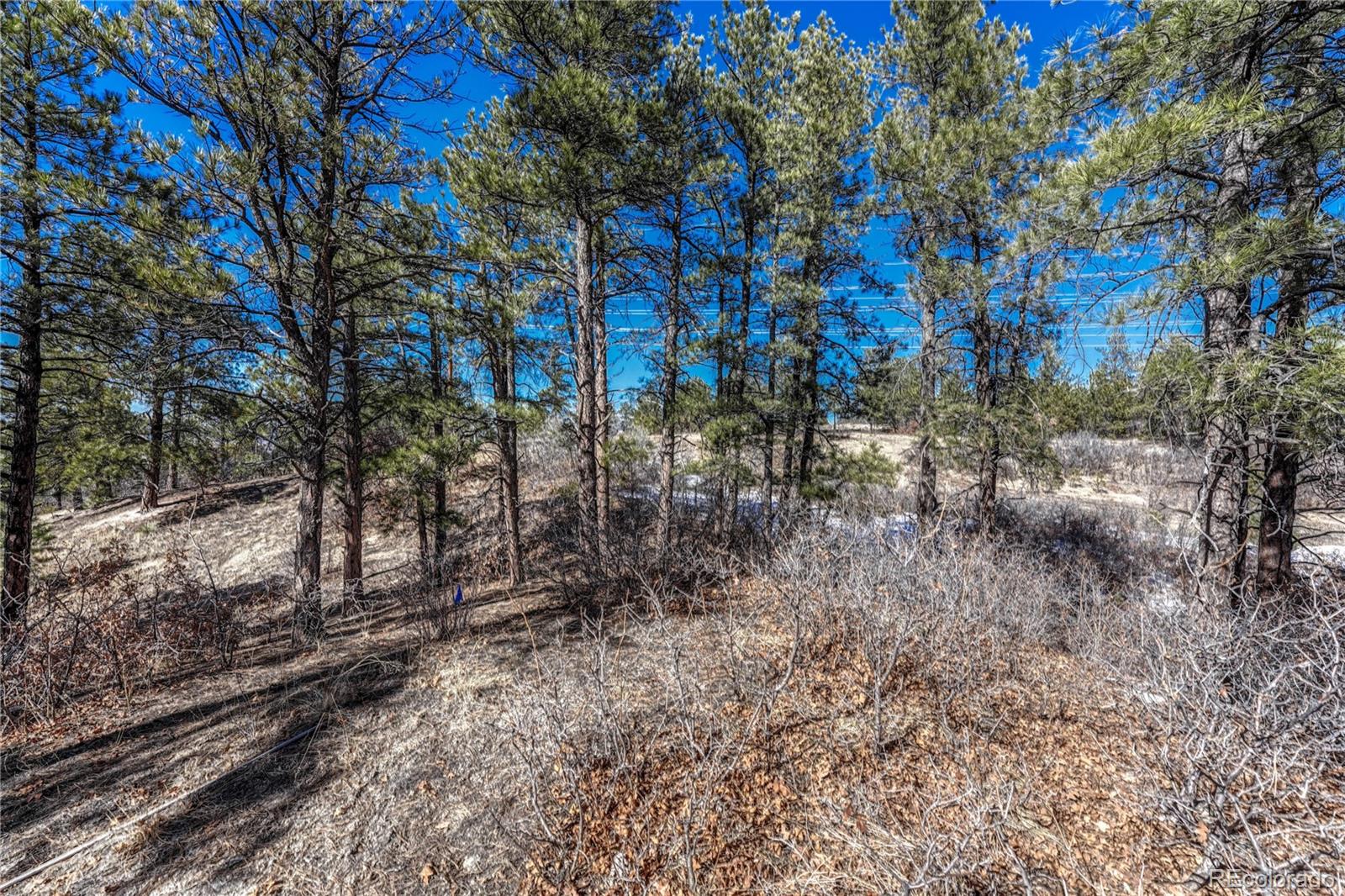 2111 Ramblewood Court Castle Rock CO 80104