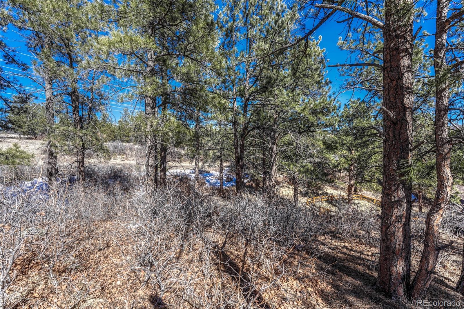 2111 Ramblewood Court Castle Rock CO 80104