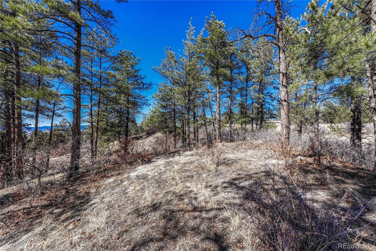 2111 Ramblewood Court Castle Rock CO 80104