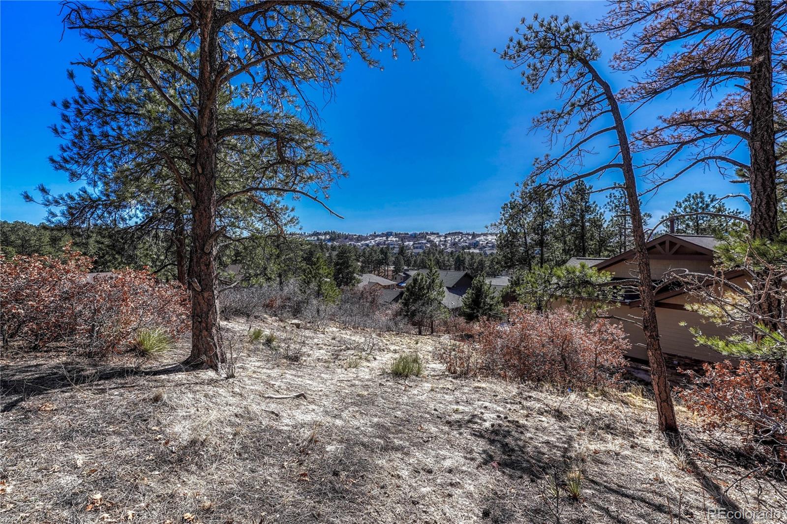 2111 Ramblewood Court Castle Rock CO 80104