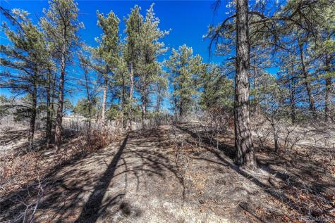 2111 Ramblewood Court Castle Rock CO 80104