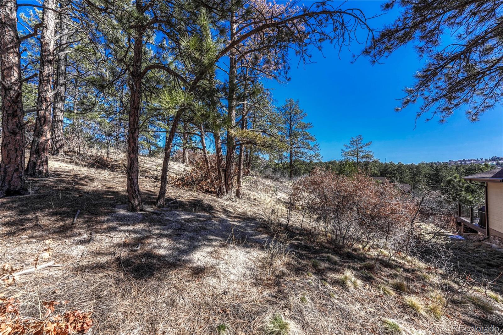 2111 Ramblewood Court Castle Rock CO 80104