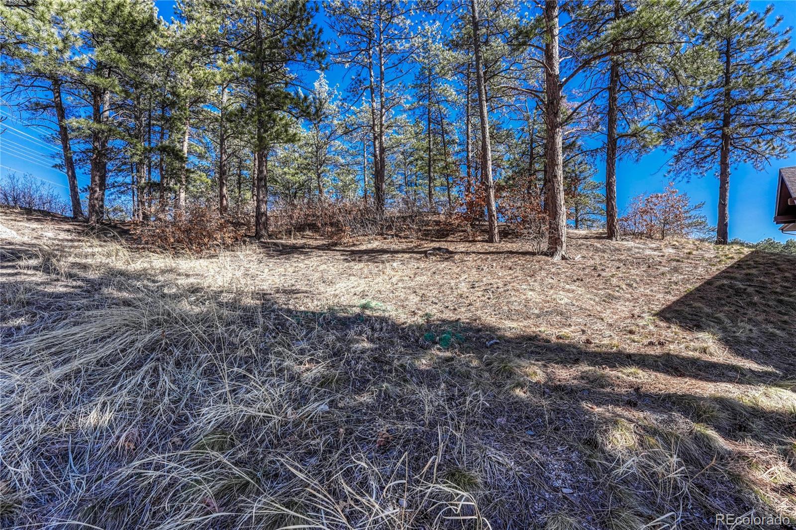 2111 Ramblewood Court Castle Rock CO 80104