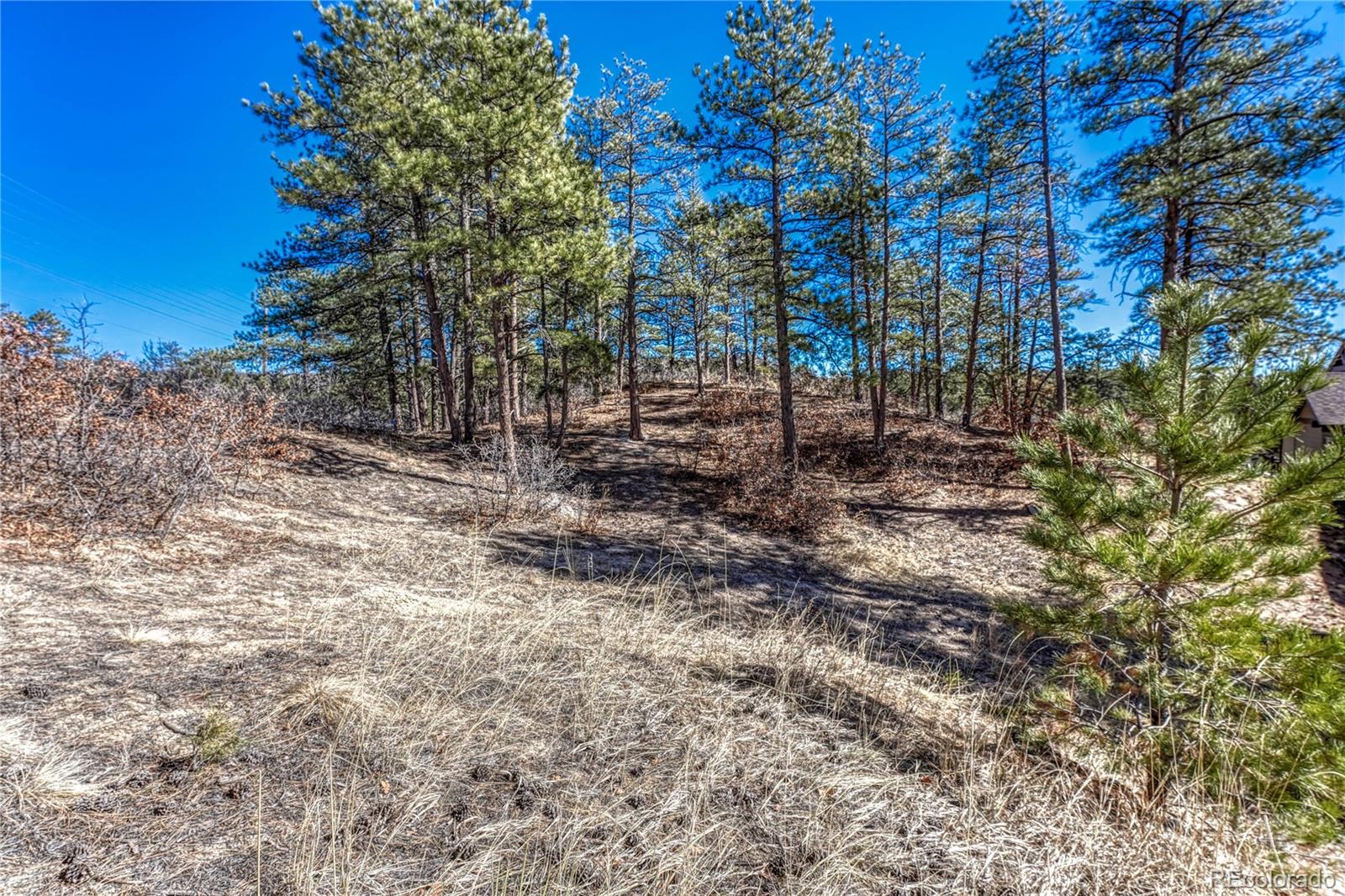 2111 Ramblewood Court Castle Rock CO 80104