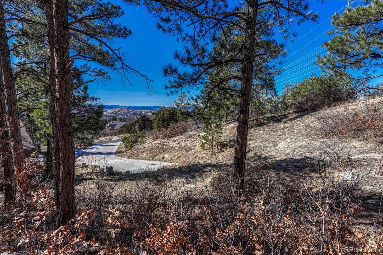 2111 Ramblewood Court Castle Rock CO 80104