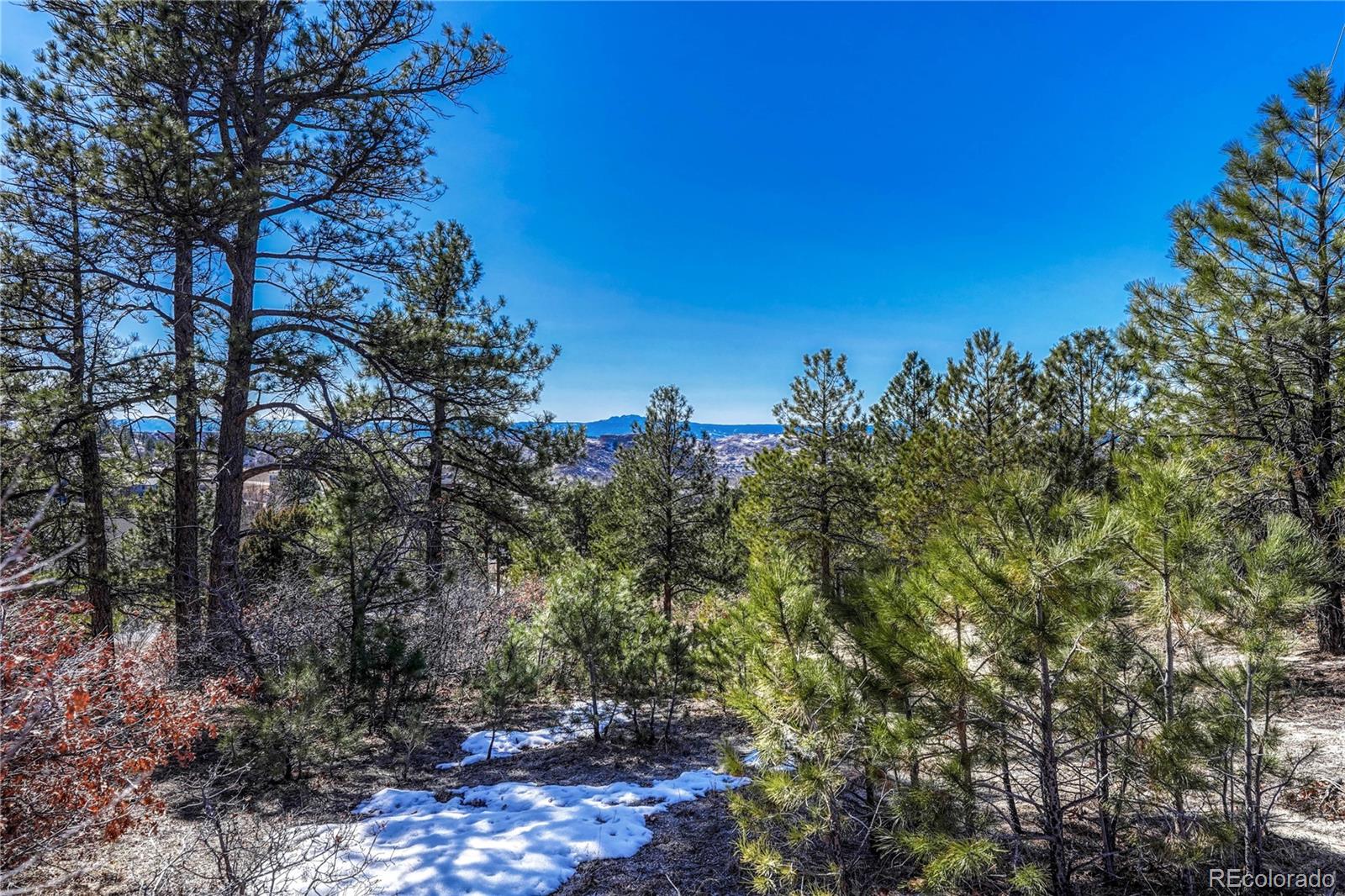 2111 Ramblewood Court Castle Rock CO 80104