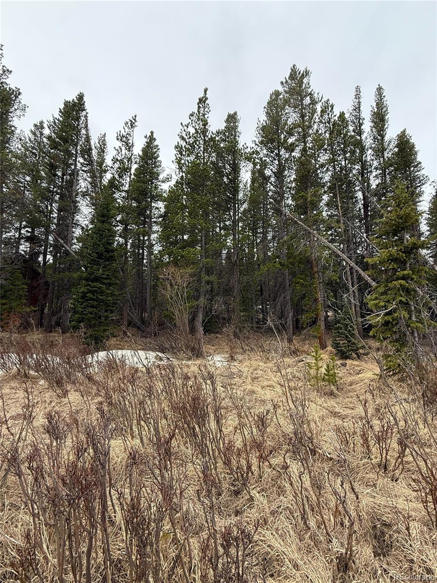 111 Silver Creek Road Idaho Springs CO 80452