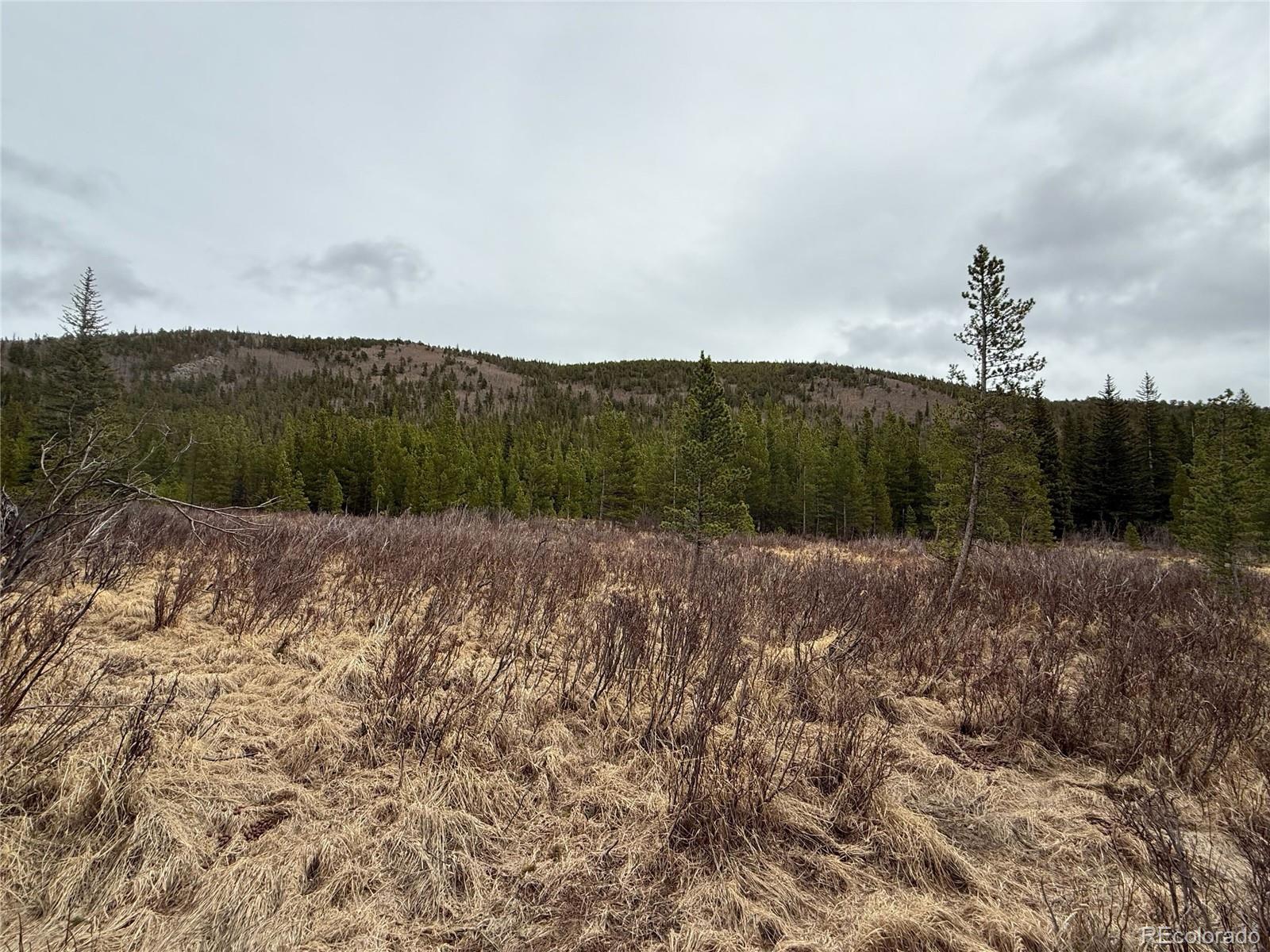 111 Silver Creek Road Idaho Springs CO 80452