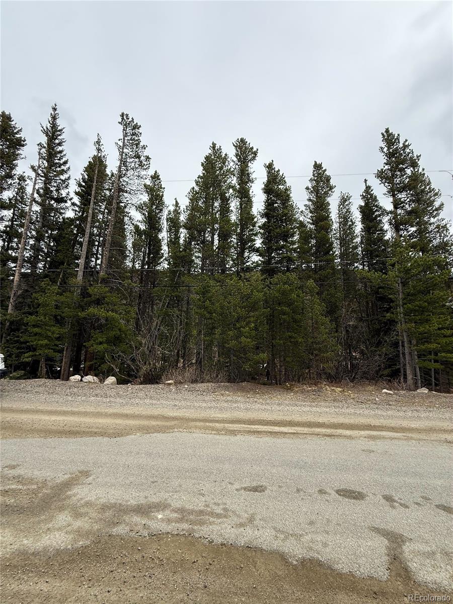 111 Silver Creek Road Idaho Springs CO 80452