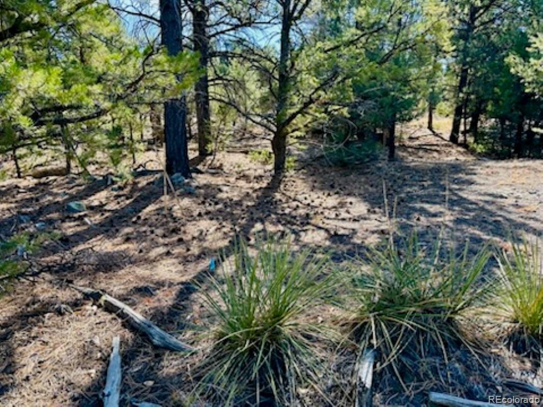 15 Lake Of The Falls Mosca CO 81146