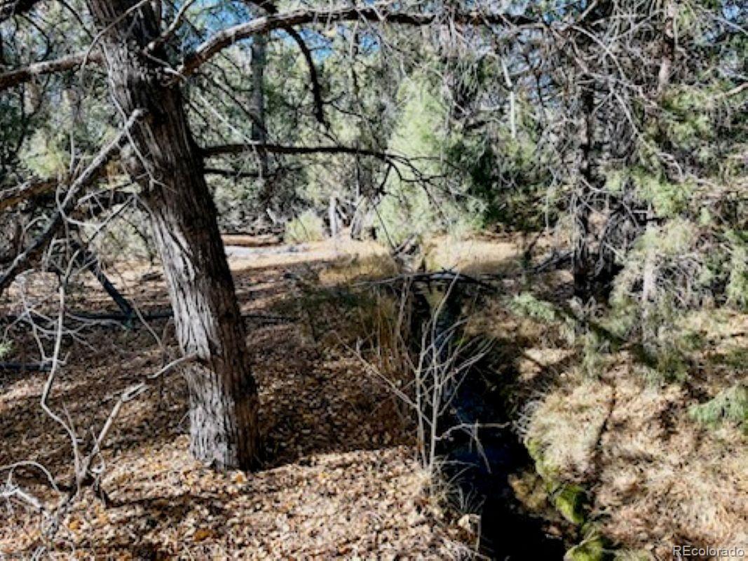 15 Lake Of The Falls Mosca CO 81146
